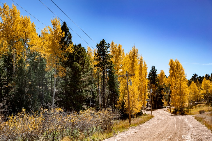 Colorado fall