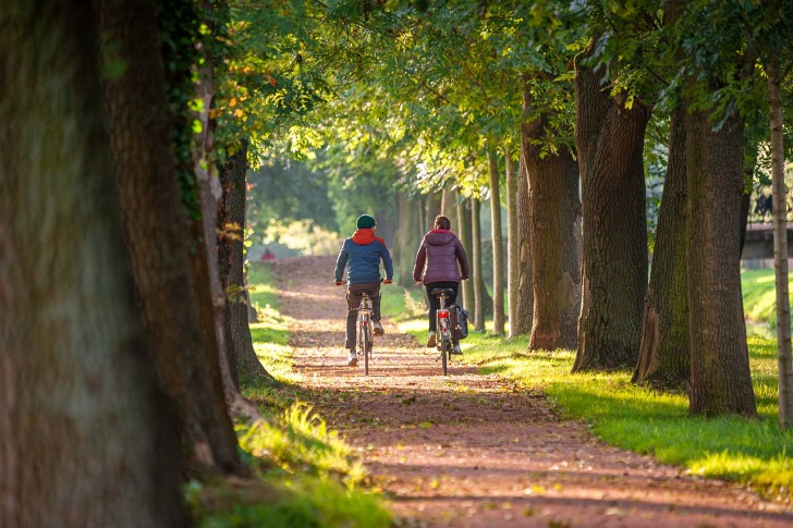 Couple on bicycles travels in nature