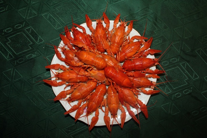 Crawfish on a plate