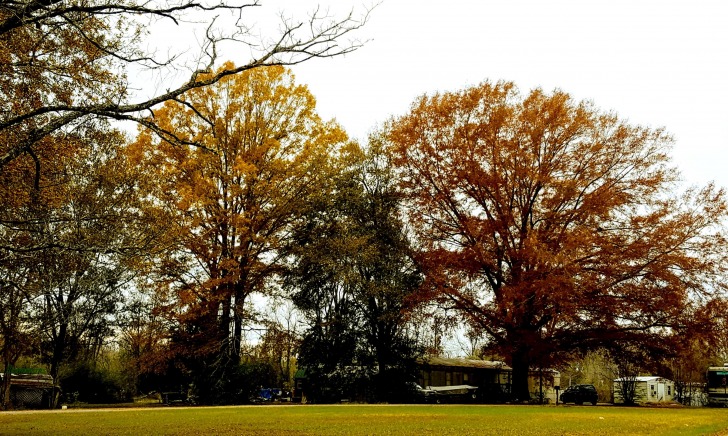 Decatur, Estados Unidos