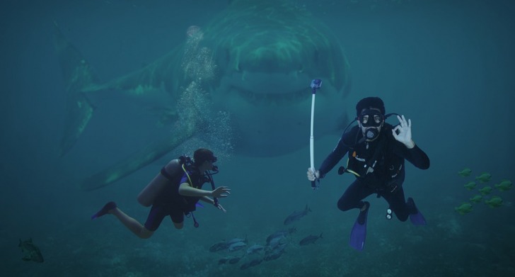 Divers and a shark