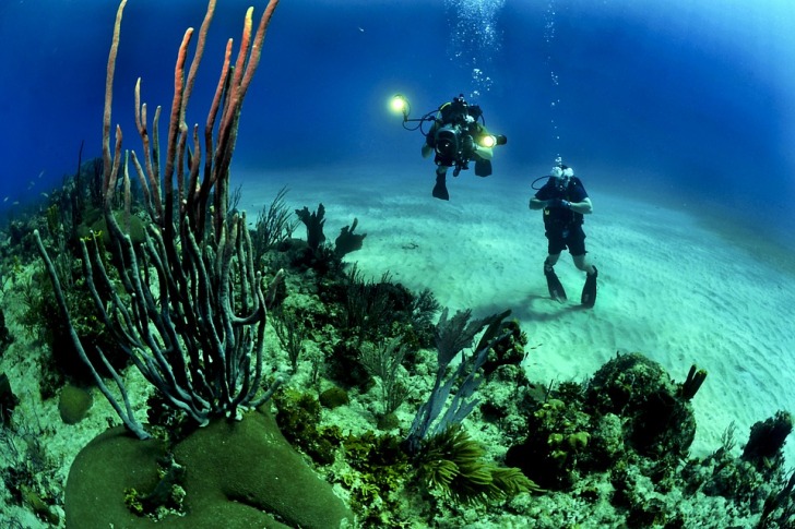 Two scuba divers underwater