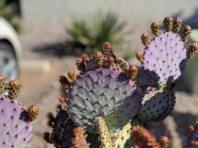 Green Valley, Arizona