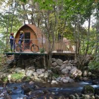 Cycling in the forest