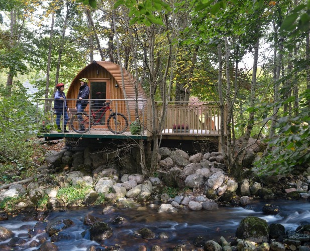 Cycling in the forest