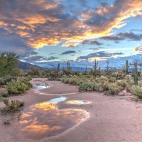 Tucson, AZ