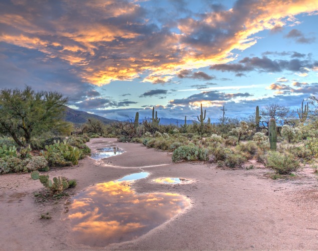 Tucson, AZ