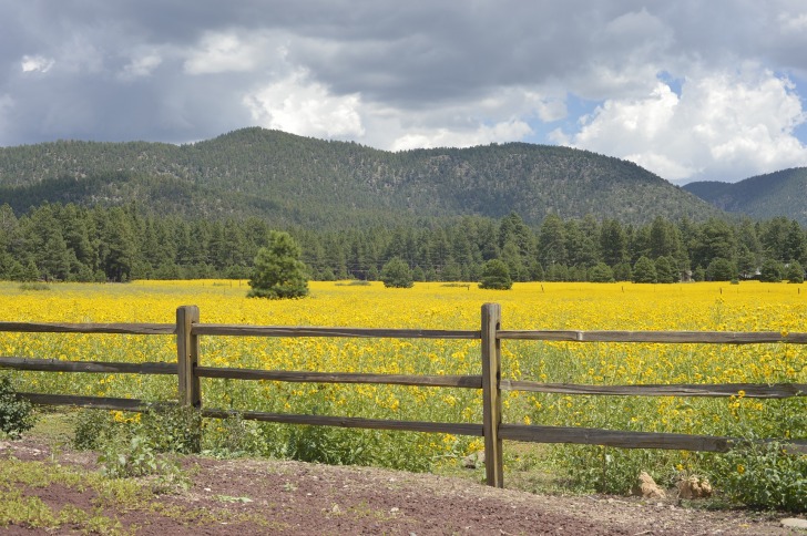 Flagstaff, Estados Unidos