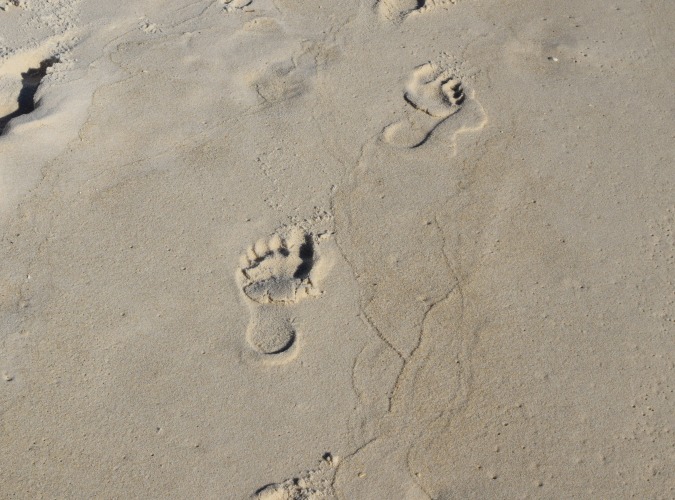 Footprints in the sand