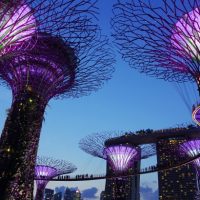 Garden by the bay Singapore