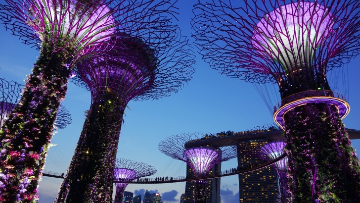 Garden by the bay Singapore