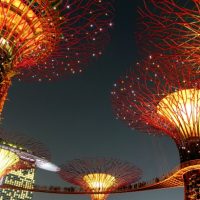 Singapore garden by the bay