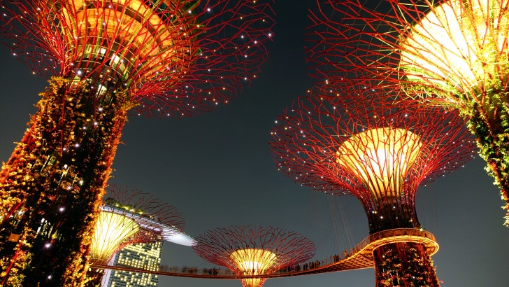 Singapore garden by the bay