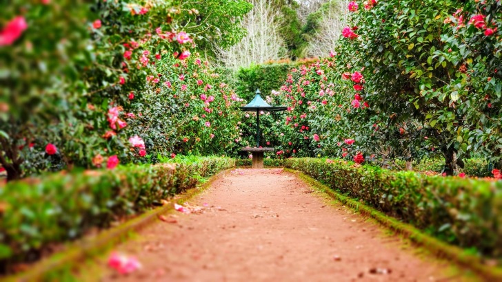 Garden Grove, Estados Unidos