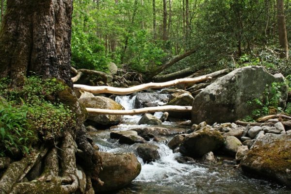 Rocky Fork State Park