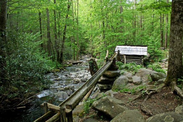 Roan Mountain State Park