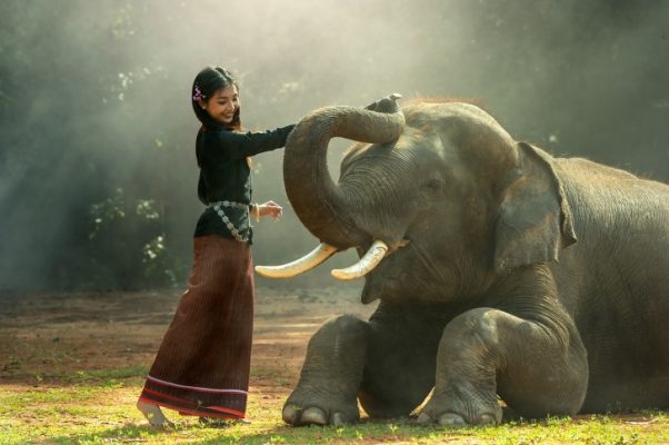 A girl with an elephant