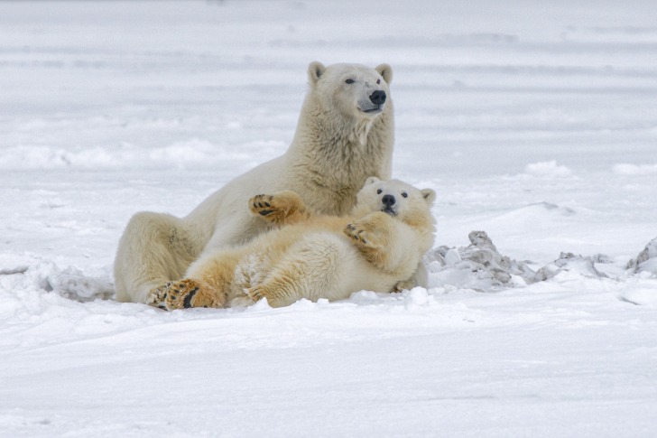 Zoos and Aquariums in Alaska