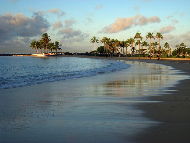 Hawaii beach