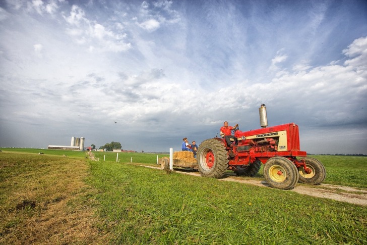 Hayride in the field