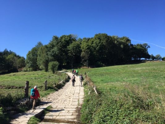 People hiking