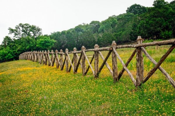 Fence on the meadow