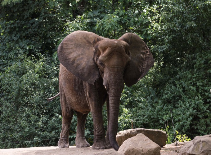 Pittsburgh Zoo and Aquarium