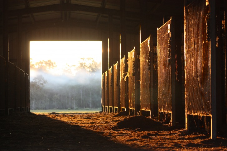 Horse stables