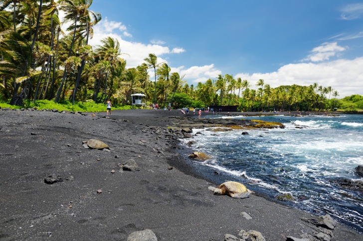 Punaluʻu Black Sand Beach