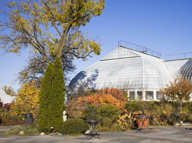 Garfield Park Conservatory