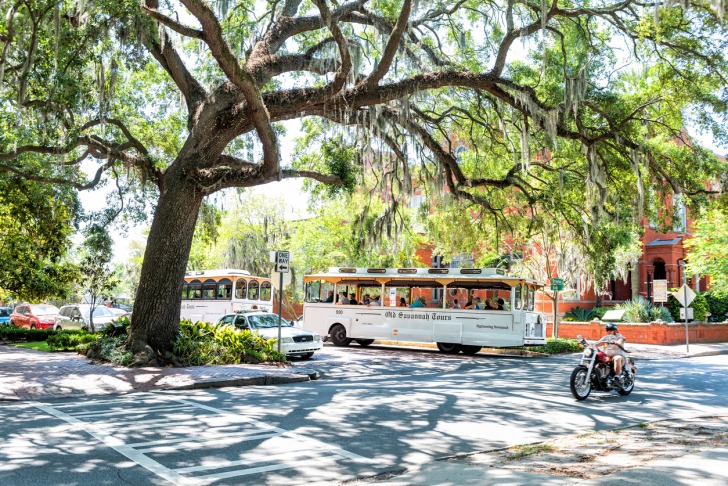 Trolley Tours