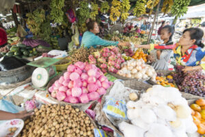 Kampong Thom CAMBODIA KAMPONG THOM