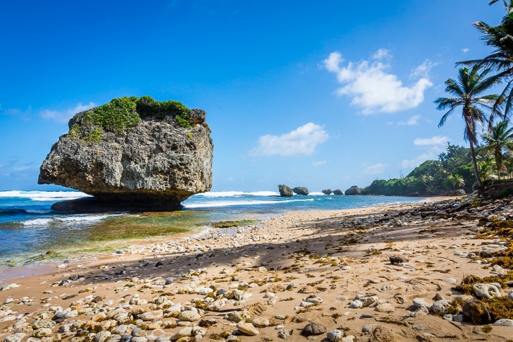 Bathsheba Beach