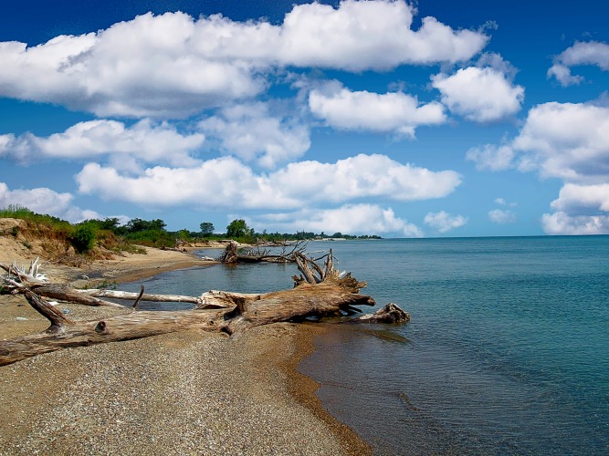 Illinois Beach State Park