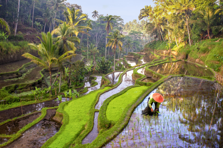 Ubud, Indonésia