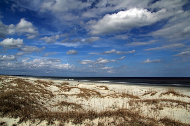 Cumberland National Seashore