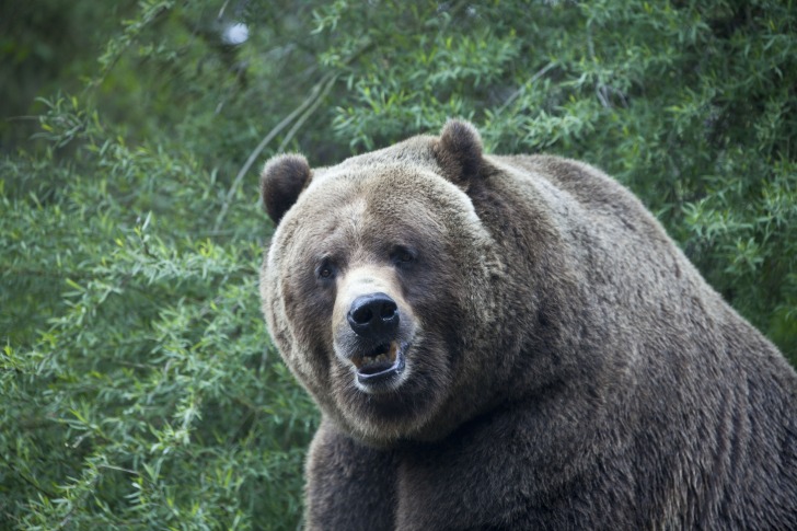 Woodland Park Zoo