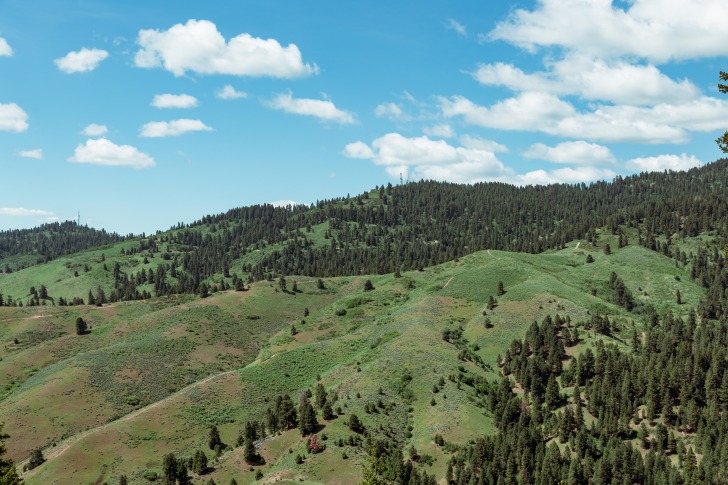 Bogus Basin Mountain Recreation Area 