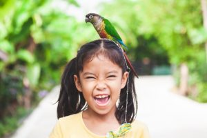 Zoo