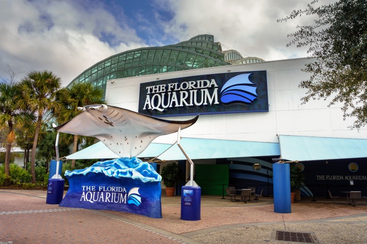 The Florida Aquarium