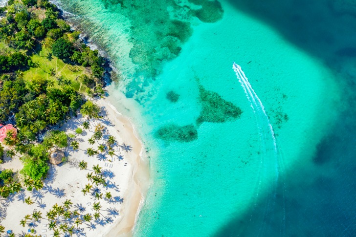 Cayo Levantado Beach