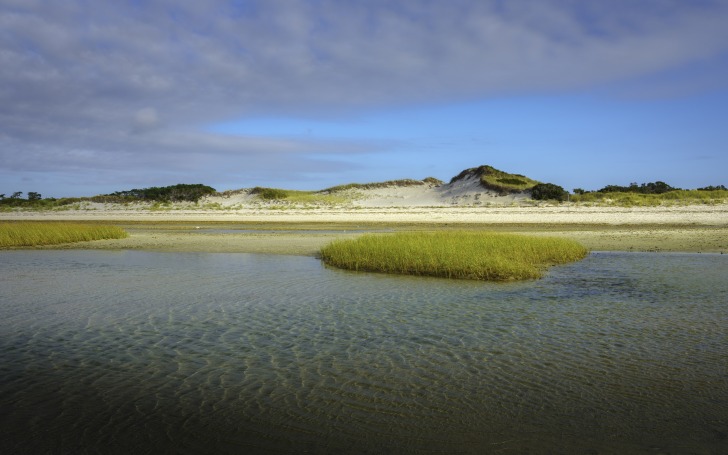 Mayflower Beach