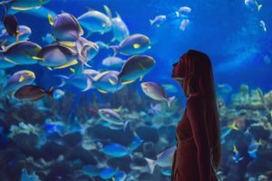 Aquarium