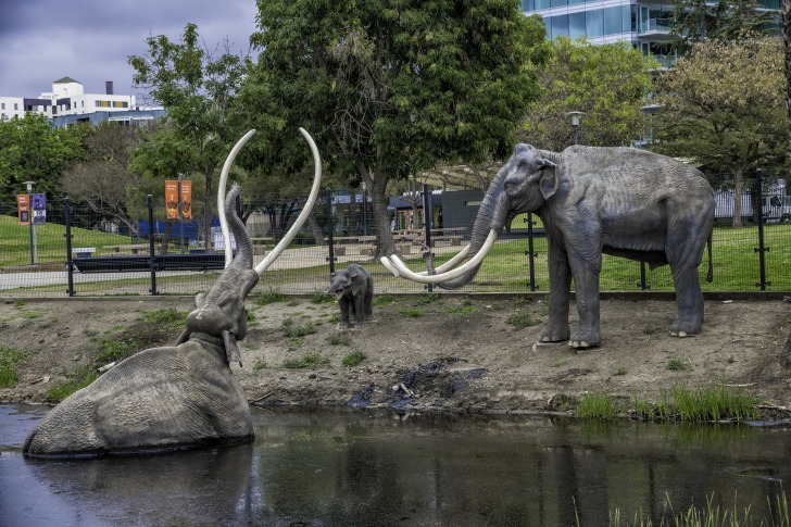 La Brea Tar Pits - Los Angeles, California