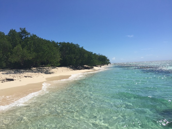 Lime Cay Beach