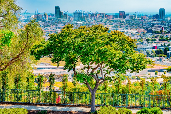 Signal Hill, California