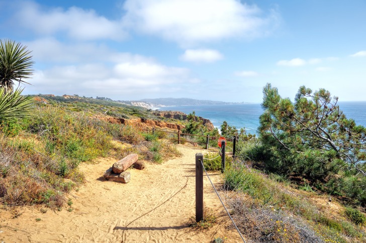 Torrey Pines State Natural Reserve - San Diego, California