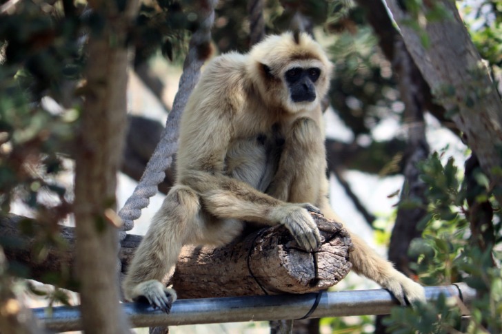 Santa Barbara Zoo