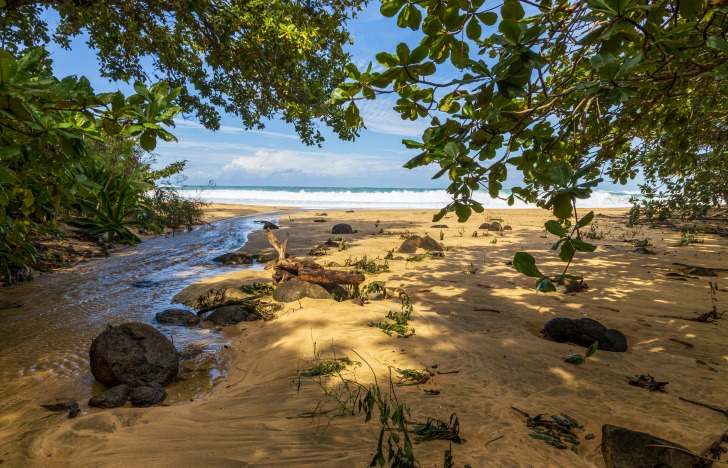 Kalihiwai Beach