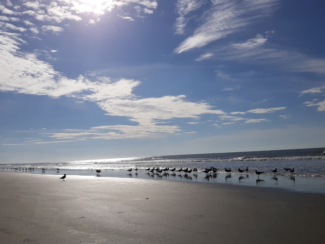 Isle of Palms Beach